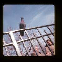 1967-12 Battery Park img166