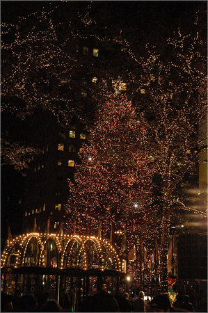 2004-11-30 NYC-Tree 029