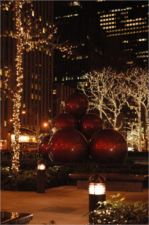 2004-11-30 NYC-Tree 021