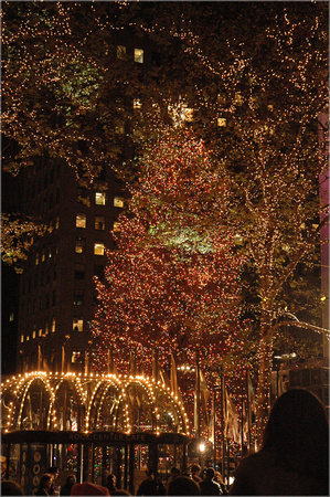 2004-11-30 NYC-Tree 026