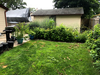 2021 backyard Gardens
