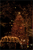 2004-11-30 NYC-Tree 028