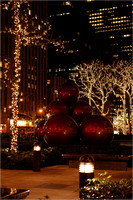 2004-11-30 NYC-Tree 021