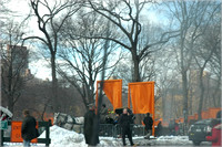 2005-02-22 The Gates by Christo 004
