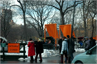2005-02-22 The Gates by Christo 005