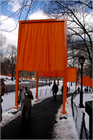 2005-02-22 The Gates by Christo 010