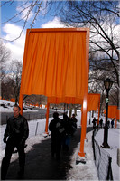 2005-02-22 The Gates by Christo 011
