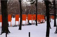 2005-02-22 The Gates by Christo 013