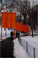 2005-02-22 The Gates by Christo 015