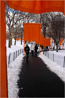 2005-02-22 The Gates by Christo 016