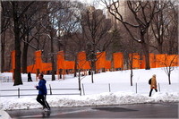 2005-02-22 The Gates by Christo 017