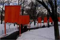 2005-02-22 The Gates by Christo 018