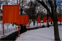 2005-02-22 The Gates by Christo 019