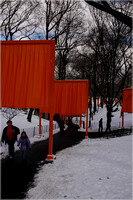 2005-02-22 The Gates by Christo 020