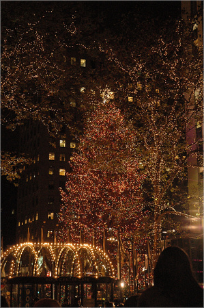 2004-11-30 NYC-Tree 027