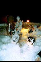 2003-08-21 Locker Room Foam 012