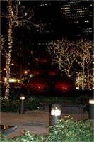 2004-11-30 NYC-Tree 020